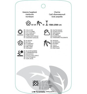 Etichette di Carpinus betulus *