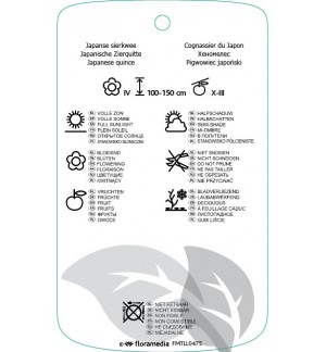 Etiquetas de Chaenomeles japonica  *