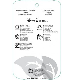 Etichette di Cornus alba ‘Spaethii’ *
