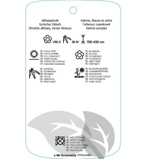 Etichette di Hibiscus syriacus ‘Monstrosus’ *