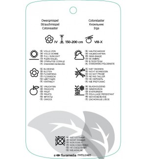 Etichette di Cotoneaster xwatereri ‘Cornubia’ *