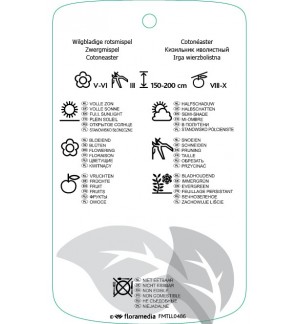 Etichette di Cotoneaster salicifolius ‘Pendulus’ *