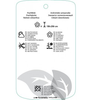 Etichette di Enkianthus campanulatus *