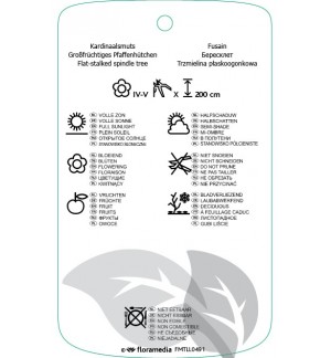 Etichette di Euonymus planipes *