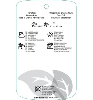 Etichette di Hypericum calycinum *