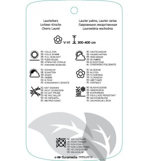 Etichette di Prunus laurocerasus ‘Schipkaensis Macrophylla’ *