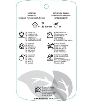Etichette di Sorbus aucuparia var. moravica *