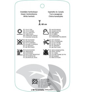 Etichette di Tsuga canadinsis ‘Nana’ *