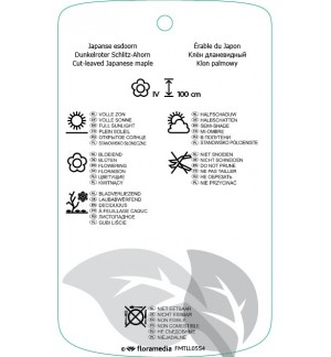 Etichette di Acer palmatum ‘Garnet’ *