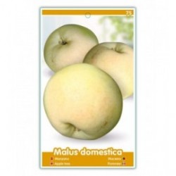 Manzano Bravo Esmolfe