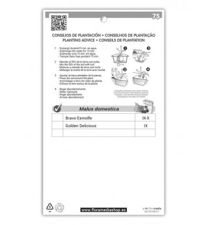 Etichette di Manzano Bravo Esmolfe