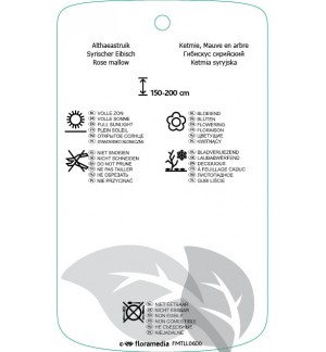 Etichette di Hibiscus syriacus ‘Meehanii’ *