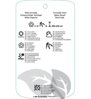 Etichette di Cornus alba ‘Kesselringii’ *