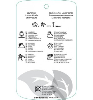 Etichette di Prunus laurocerasus ‘Mount Vernon’ *
