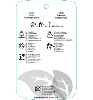 Etichette di Cytisus ‘Sunset’ *