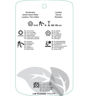 Etichette di Lavatera ‘Rosea’ *