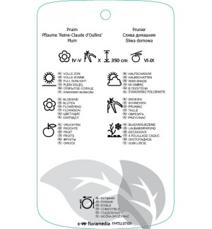 Etichette di Prunus domestica ‘Reine-Claudi d’Oullins’ *