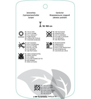 Etichette di Juniperus xpfitzeriana ‘Old Gold’ *
