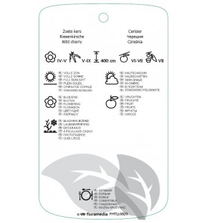 Etichette di Prunus avium ‘Hedilfinger Riesenkirsche’ *