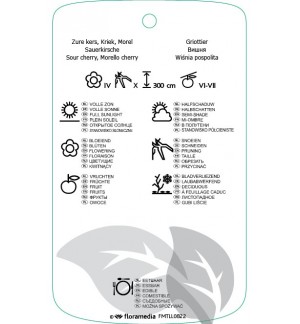 Etichette di Prunus cerasus ‘Kelleris nr. 16’ *