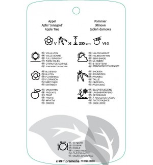 Etichette di Malus domestica ‘Jonagold’ *