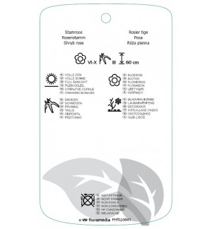 Etichette di Rosa stam lichtrood *