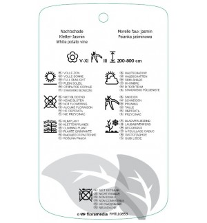 Etichette di Solanum jasminoidis ‘Album’ *