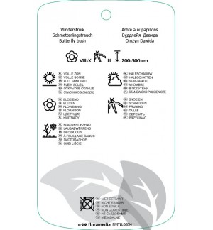 Etichette di Buddleja davidii ‘Summer Beauty’ *