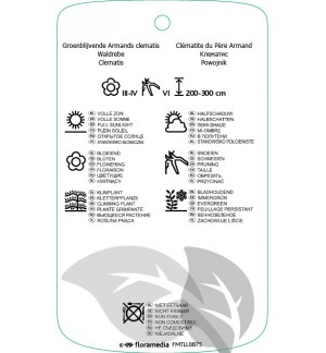 Etichette di Clematis armandii ‘Apple Blossom’ *