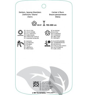 Etichette di Prunus ‘Okame’ *