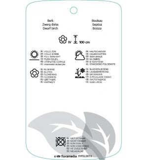 Etichette di Betula michauxii *