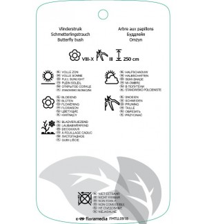 Etichette di Buddleja ‘Bicolor’ Flower Power ® beschermd *