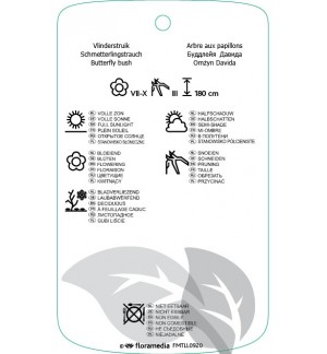 Etichette di Buddleja davidii ‘Ellens Blue’ *
