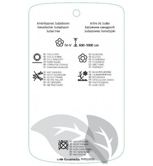 Etichette di Cercis canadinsis *