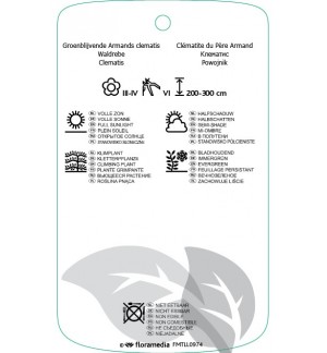 Etichette di Clematis armandii ‘Snowdrift’ *