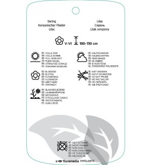 Etichette di Syringa patula ‘Miss Kim’ *