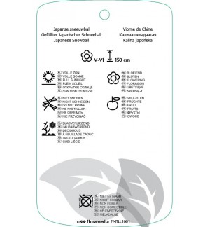 Etichette di Viburnum plicatum ‘Mariesii’ *