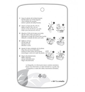 - Etichette di Adilfa (blanco simple)