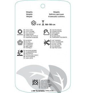 Etichette di Weigela ‘Rumba’ *