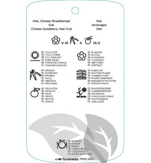 Etichette di Actinidia diliciosa ‘Boskoop’ *