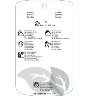 Etichette di Camellia  rood *