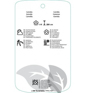 Etichette di Camellia  wit *