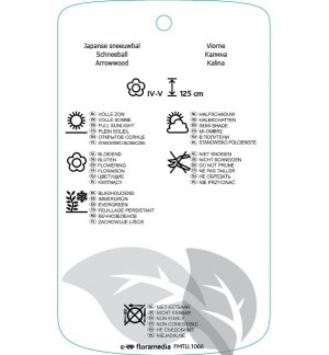 Etichette di Viburnum ‘Eskimo’ *