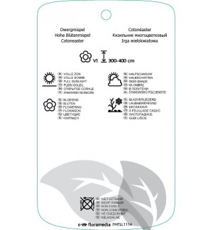 Etichette di Cotoneaster multiflorus *