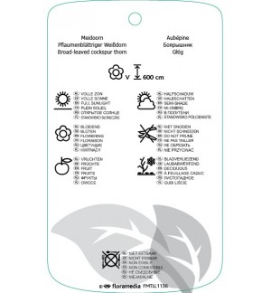 Etichette di Crataegus xpersimilis ‘Prunifolia’ *