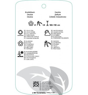 Etichette di diutzia xhybrida ‘Tourbillon Rouge’ *