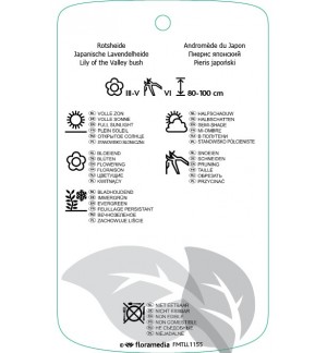 Etiquetas de Pieris japonica ‘Purity’ *