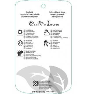 Etiquetas de Pieris japonica ‘Sarabande’ *