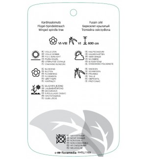Etichette di Euonymus alatus ‘Chicago Fire’ *