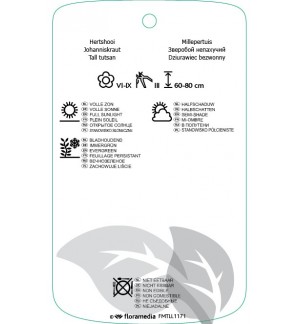 Etichette di Hypericum xinodorum ‘Excellent Flair’ *